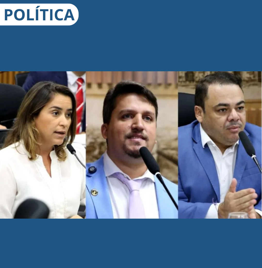 PONTO FINAL? O QUE ACONTECE AGORA COM O PROCESSO DE BRISA BRACCHI NA CÂMARA